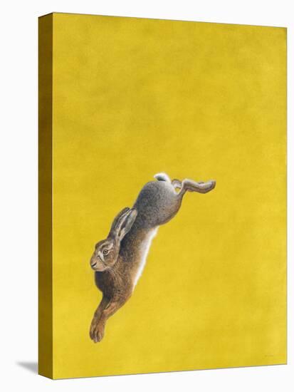 The Leap-Yellow-Tim Hayward-Premier Image Canvas