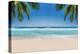 The Leaves of Palm Trees on Sunny Tropical Beach. Summer Vacation and Tropical Beach Background Con-Lucky-photographer-Premier Image Canvas