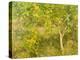 The Lemon Tree, 1893-Henry Scott Tuke-Premier Image Canvas