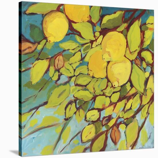 The Lemons Above-Jennifer Lommers-Stretched Canvas