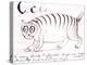 The Letter C of the Alphabet, c.1880 Pen and Indian Ink-Edward Lear-Premier Image Canvas