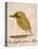 The Light Green Bird, from Sixteen Drawings of Comic Birds-Edward Lear-Premier Image Canvas