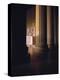 The Lincoln Memorial in the Morning Light, Washington Dc-null-Premier Image Canvas