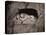 The Lion, Lucerne, Switzerland-Giorgio Sommer-Premier Image Canvas