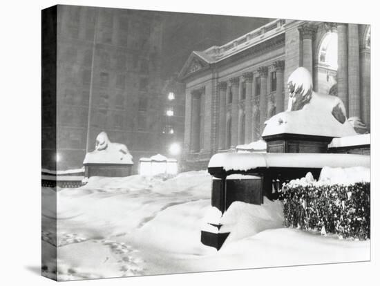 The Lion Statues at the New York Public Library Covered with Snow During the Record Snowfall-null-Stretched Canvas