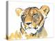 The Lioness-Mark Adlington-Premier Image Canvas