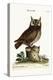 The Little Owl, 1749-73-Mark Catesby-Premier Image Canvas