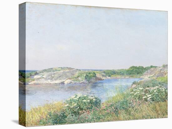 The Little Pond, Appledore, 1890-Childe Hassam-Premier Image Canvas