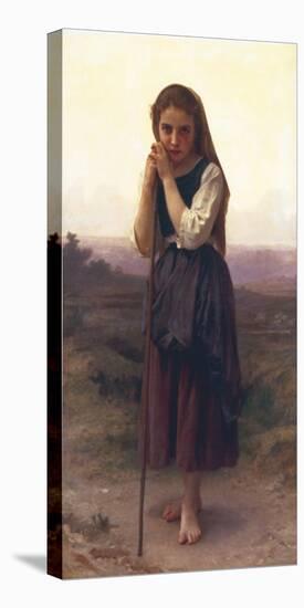 The Little Shepherdess-William Adolphe Bouguereau-Stretched Canvas