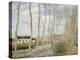 The Loing's Canal-Alfred Sisley-Premier Image Canvas