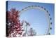 The London Eye on a Bright Sunny Day, London, England, United Kingdom, Europe-Charlie Harding-Premier Image Canvas