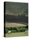 The Long Man, Wilmington, East Sussex, England, United Kingdom-Walter Rawlings-Premier Image Canvas