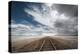 the long road-Rostovskiy Anton-Premier Image Canvas