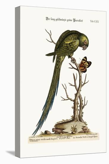 The Long-Tailed Green Parrakeet, 1749-73-George Edwards-Premier Image Canvas