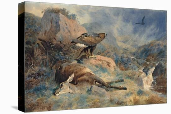 The Lost Hind, 1894 (Pencil and W/C on Paper)-Archibald Thorburn-Premier Image Canvas