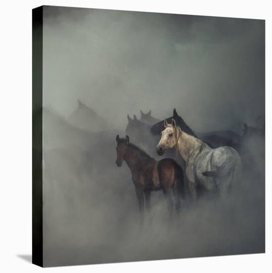 The Lost Horses-Huseyin Ta?k?n-Stretched Canvas