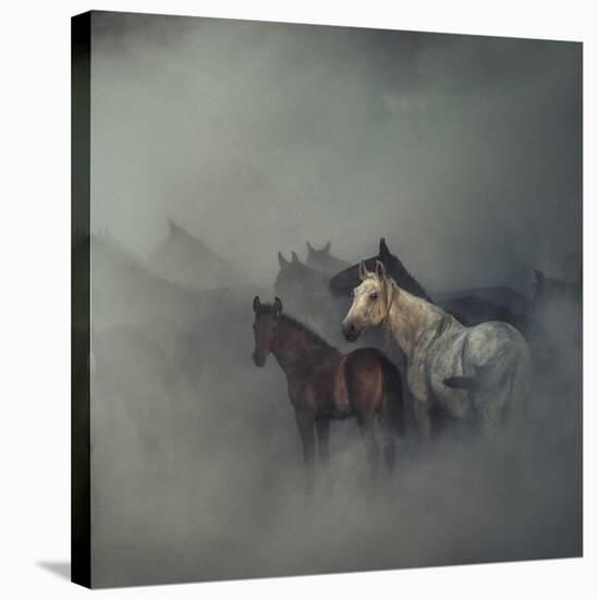 The Lost Horses-Huseyin Ta?k?n-Stretched Canvas