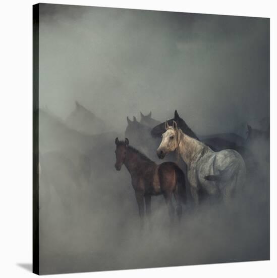 The Lost Horses-Huseyin Ta?k?n-Stretched Canvas