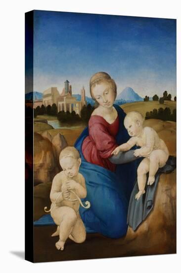 The Madonna and Child with the Infant Baptist (The Esterházy Madonn)-Raphael-Premier Image Canvas