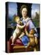 The Madonna and Child with the Infant Baptist' ('The Garvagh Madonna), C1509-1510-Raphael-Premier Image Canvas