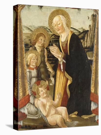 The Madonna and Child with the Infant Saint John the Baptist and an Angel (Oil on Panel)-Bernardo Rosselli-Premier Image Canvas