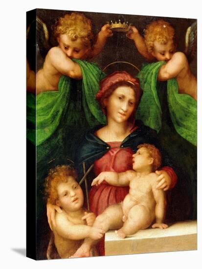 The Madonna and Child with the Infant Saint John the Baptist and Two Angels, C.1512 (Oil on Panel)-Giovanni Battista Rosso Fiorentino-Premier Image Canvas
