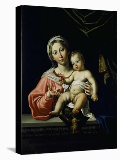 The Madonna Della Rosa, before 1627-Domenichino-Premier Image Canvas