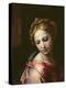 The Madonna (Detail), C.1518-Raphael-Premier Image Canvas