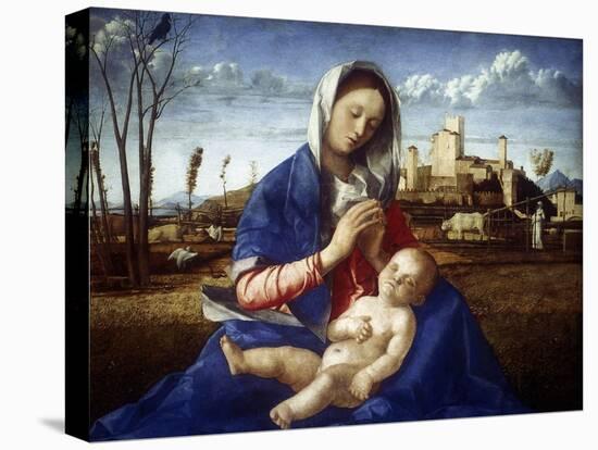 The Madonna of the Meadow, C1500-Giovanni Bellini-Premier Image Canvas