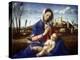 The Madonna of the Meadow, C1500-Giovanni Bellini-Premier Image Canvas