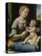 The Madonna of the Pinks (La Madonna Dei Garofan), Ca 1506-1507-Raphael-Premier Image Canvas