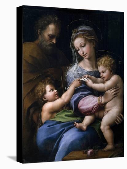 The Madonna of the Rose (Madonna Della Ros), C. 1520-Raphael-Premier Image Canvas