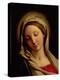 The Madonna-Giovanni Battista Salvi da Sassoferrato-Premier Image Canvas