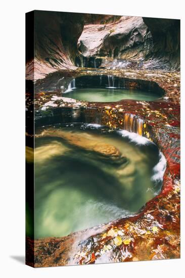 The Magical Subway, Autumn Zion National Park, Natural Wonder, Southern Utah-Vincent James-Premier Image Canvas