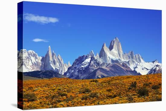The Magnificent Mountain Range - Mount Fitzroy in Patagonia, Argentina. Summer Sunny Noon-kavram-Premier Image Canvas