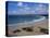 The Main Beach, Newquay, Cornwall, England, United Kingdom-Julian Pottage-Premier Image Canvas