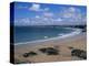 The Main Beach, Newquay, Cornwall, England, United Kingdom-Julian Pottage-Premier Image Canvas