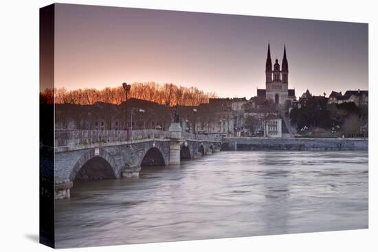 The Maine River Flowing Through the City of Angers-Julian Elliott-Premier Image Canvas