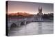 The Maine River Flowing Through the City of Angers-Julian Elliott-Premier Image Canvas