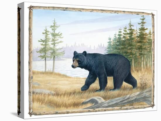 The Majestic Bear-Ron Jenkins-Stretched Canvas