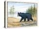 The Majestic Bear-Ron Jenkins-Stretched Canvas