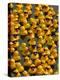 The Make-A-Wish Foundation Releases Rubber Ducks into the Ocean-null-Premier Image Canvas