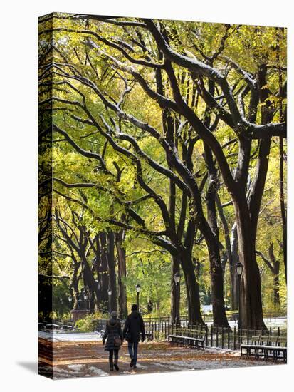 The Mall and Literary Walk with American Elm Trees Forming the Avenue Canopy, New York, USA-Gavin Hellier-Premier Image Canvas