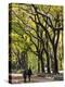 The Mall and Literary Walk with American Elm Trees Forming the Avenue Canopy, New York, USA-Gavin Hellier-Premier Image Canvas