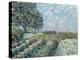 The Market Gardens, 1874-Alfred Sisley-Premier Image Canvas