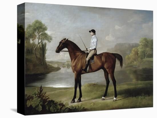 The Marquess of Rockingham's "Scrub", with John Singleton Up, 1762-George Stubbs-Premier Image Canvas