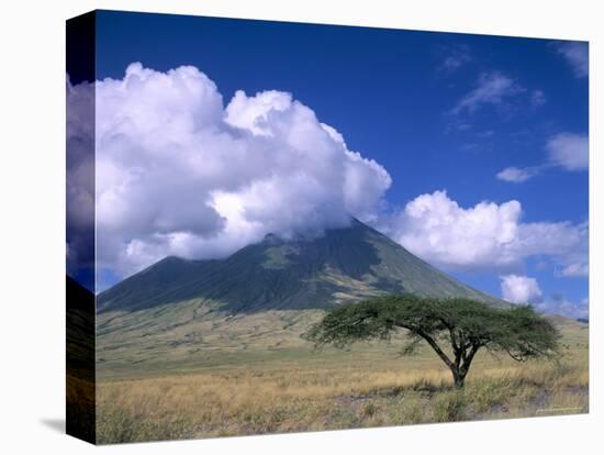 The Masai's Holy Mountain, Tanzania, East Africa, Africa-I Vanderharst-Premier Image Canvas