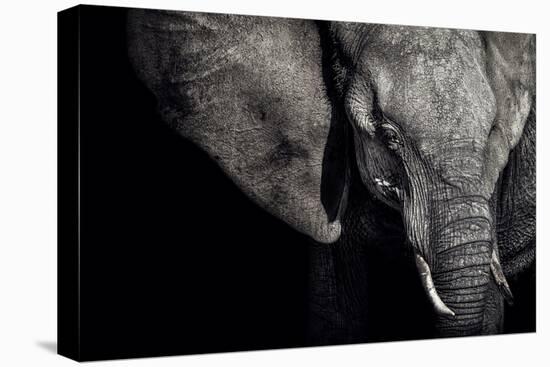 The Matriarch-Piet Flour-Premier Image Canvas