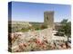 The medieval castle from Moorish times . Mertola, Alentejo. Portugal-Martin Zwick-Premier Image Canvas