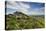 The medieval walled village of Monsaraz. Alentejo, Portugal-Mauricio Abreu-Premier Image Canvas